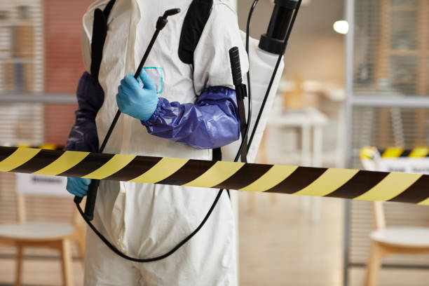 Professional Sewage Cleanup technician working in Dunlap, OH